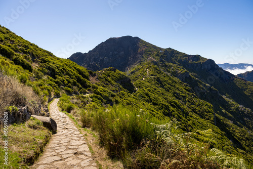 Hiking trail in Pico Ruivo on summer day. Madeira island, Portugal