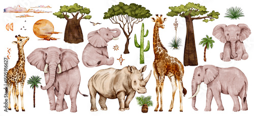 Photography Watercolor set on safari theme