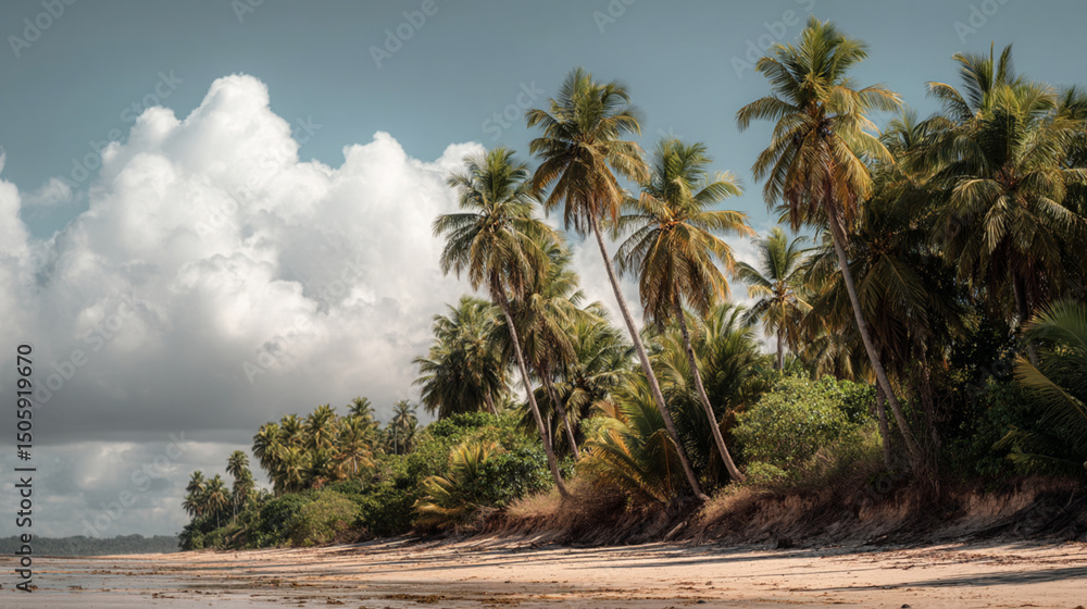 Obraz premium Tropical beach scene with palm trees and large clouds on a sunny day by the shore of the ocean