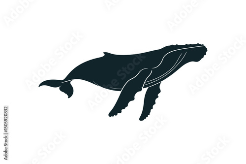 Silhouette of a humpback whale on white