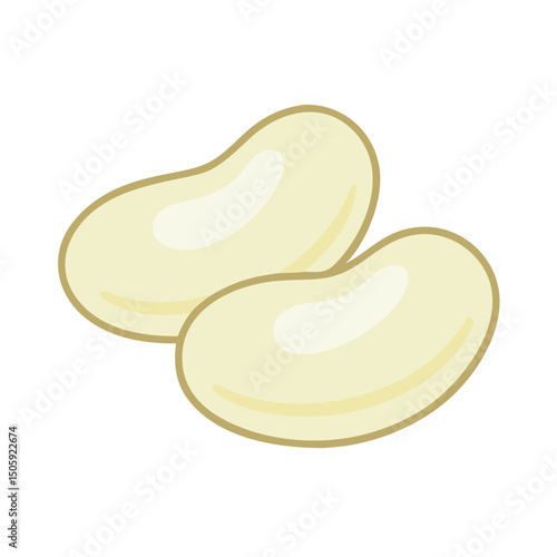 Lima Beens Vector Transparent Background