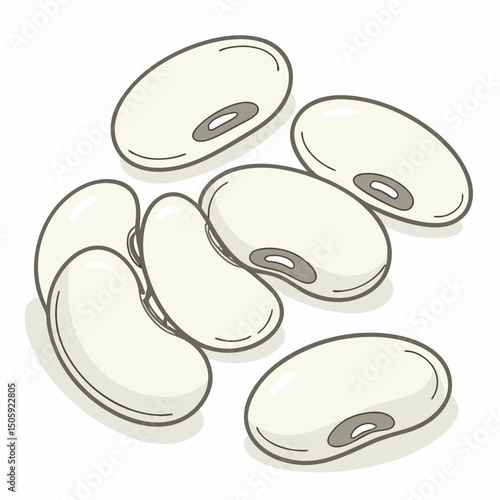 Lima Beens Vector Transparent Background