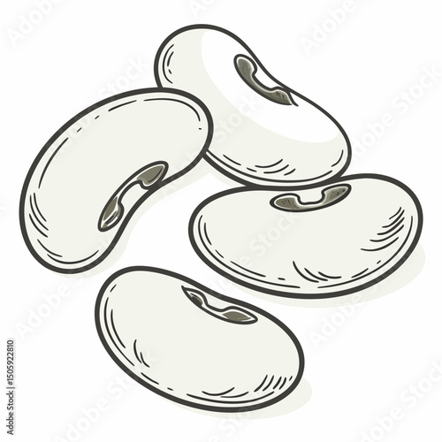 Lima Beens Vector Transparent Background