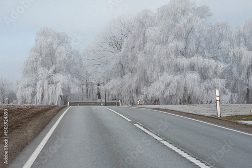 An empty asphalt road winds through a winter landscape with frost-covered trees and light snow patches on grassy areas under a gray sky.