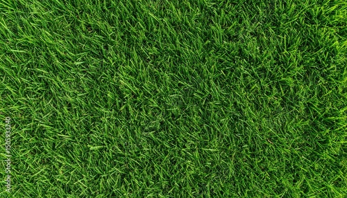 Wallpaper Mural Vibrant green grass texture background, ideal for natural and ecofriendly designs Torontodigital.ca