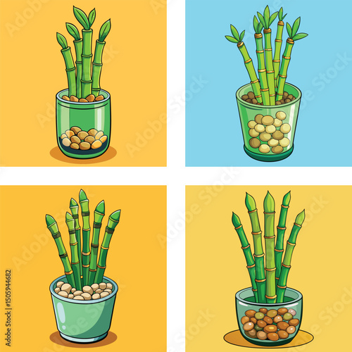 Lucky Bamboo Plants In Decorative Pots Cartoon Style Set Vector Illustration