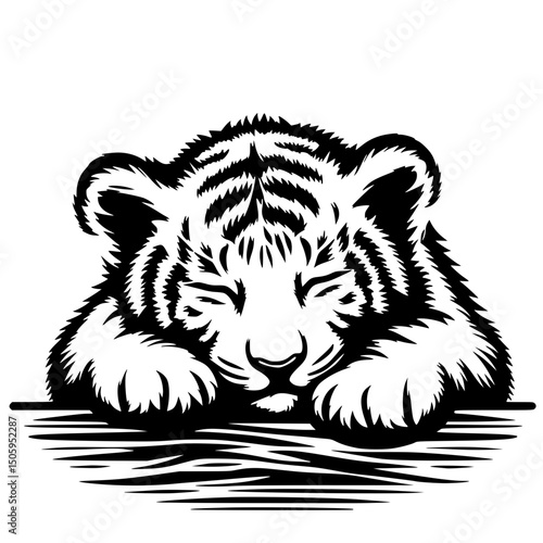 Silhouette of a sleeping tiger cub