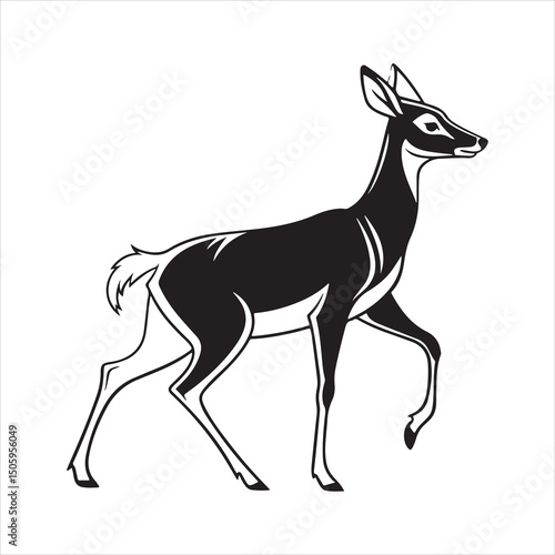 white tailed deer silhouette vector