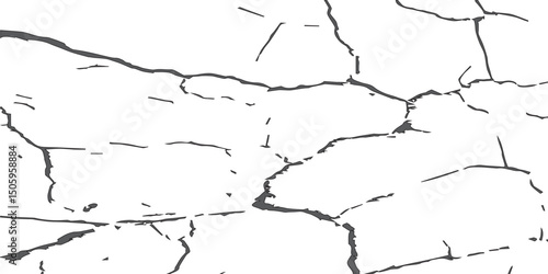Generate a high-contrast black and white abstract texture that resembles cracked or fractured surfaces, similar to dry, parched earth or old paint chipping. Emphasize irregular lines and broken segmen