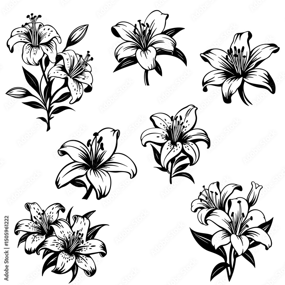Flor Lily