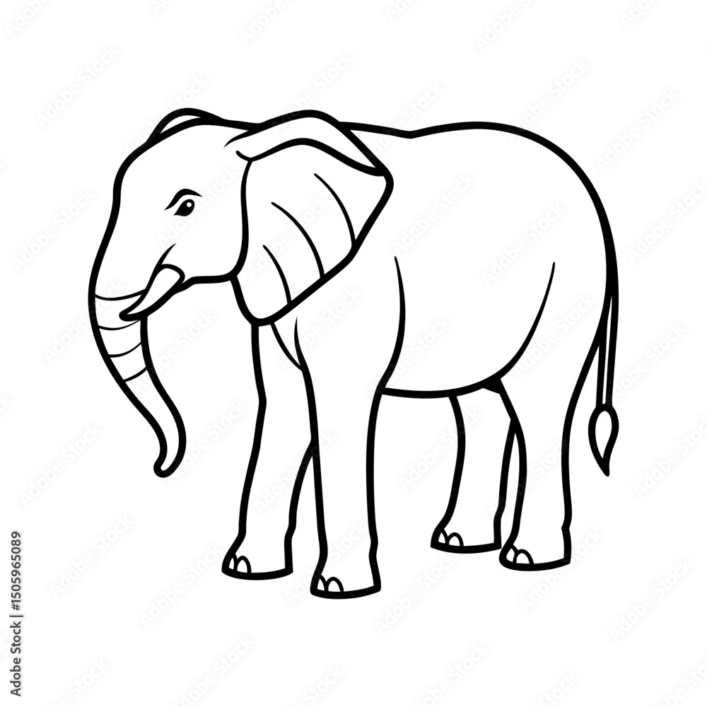 Fototapeta premium create a beautiful elephant outline vector illustrator