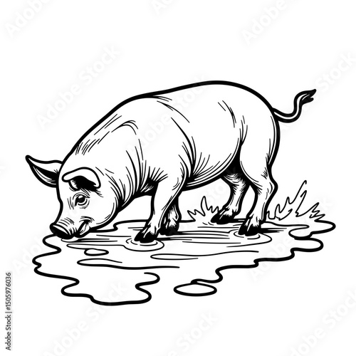 Pig playing in the mud with clean line art style, playful nature