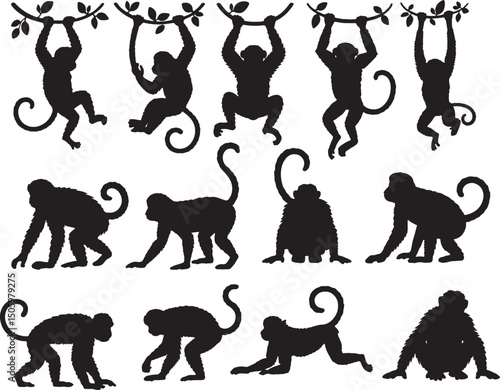 Silhouettes of monkeys hanging and sitting