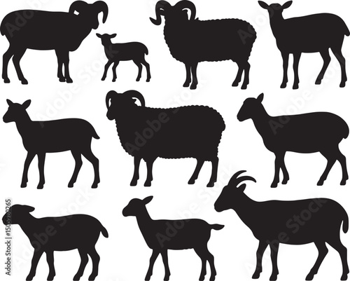 Sheep goat silhouettes farm animals livestock collection