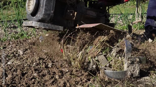 Wallpaper Mural Plowing garden soil with a cultivator. A human-operated cultivator processes and loosens garden soil, preparing it for planting vegetables and seedlings. Torontodigital.ca