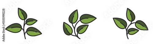 Curved plants with leaves in green colors. Spring, planting and nature design elements. Isolated vector images