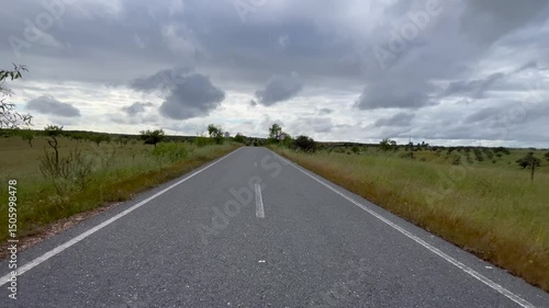 Walking in a empty road in the countryside. Country asphalt road, dolly forward view	

