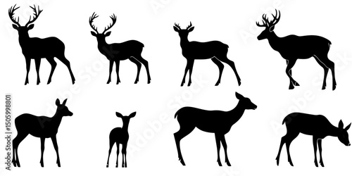 Deer silhouettes including stag, doe, and fawn in various standing poses for design and illustration use