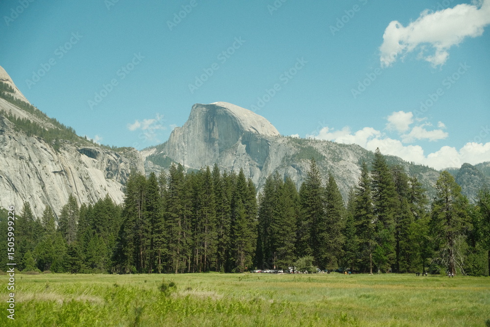 Fototapeta premium Yosemite National Park in California’s Sierra Nevada mountains green foliage on sunny day serene waters mountain ranges