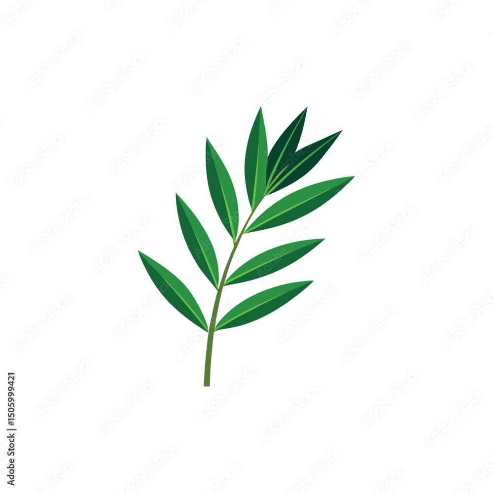 Fototapeta premium Bamboo Leaf Vector Illustration on White Background