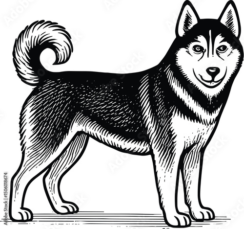 Siberian husky dog vector black silhouette cricut design for T-Shirt