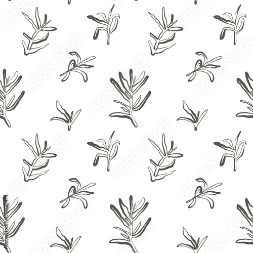 Seamless rosemary pattern in dark earthy green on white background with hand drawn bold lines for natural packaging and fabric