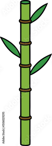 bamboo leaves isolated