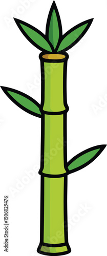 green bamboo isolated on white