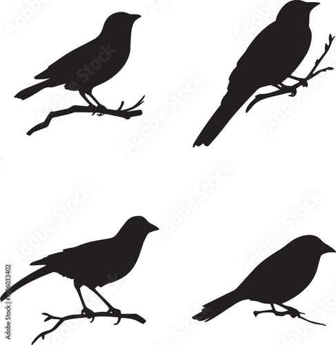 This artwork is a clean vector illustration, manually refined for high-quality use.A  set of four bird silhouettes perched on tree branches.