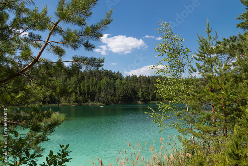 Beautiful summer landscape - a lake surrounded by green trees against a blue sky