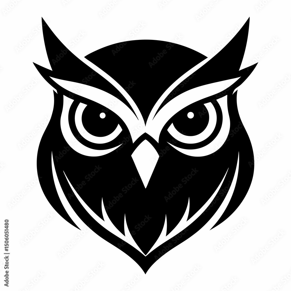 owl on white background owl on white background