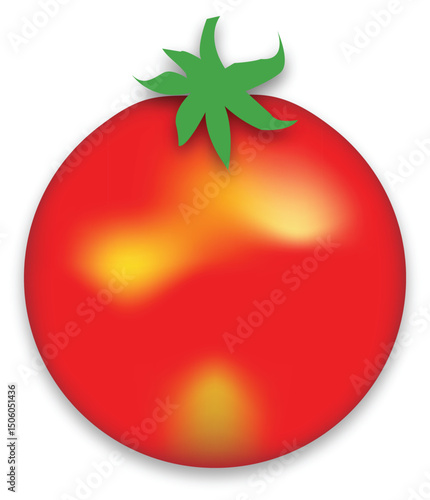 tomato vector illustration