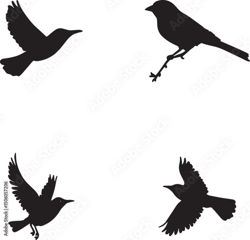 This artwork is a clean vector illustration, manually refined for high-quality use. A  set of one bird silhouettes perched on a tree branch and three birds flying.