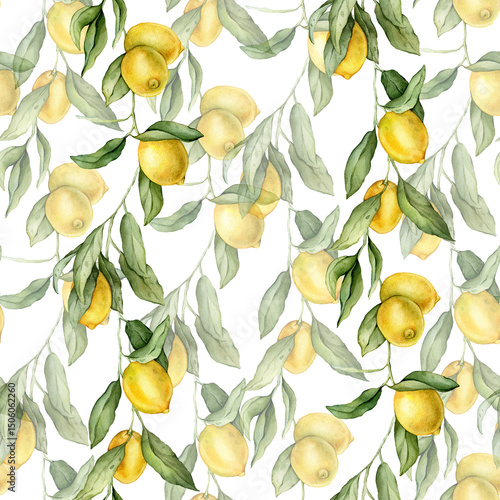 Seamless pattern with watercolor illustration of Lemon or Lime. Hand painted lemon branche with green leaves on white isolated background for juice label or icon.