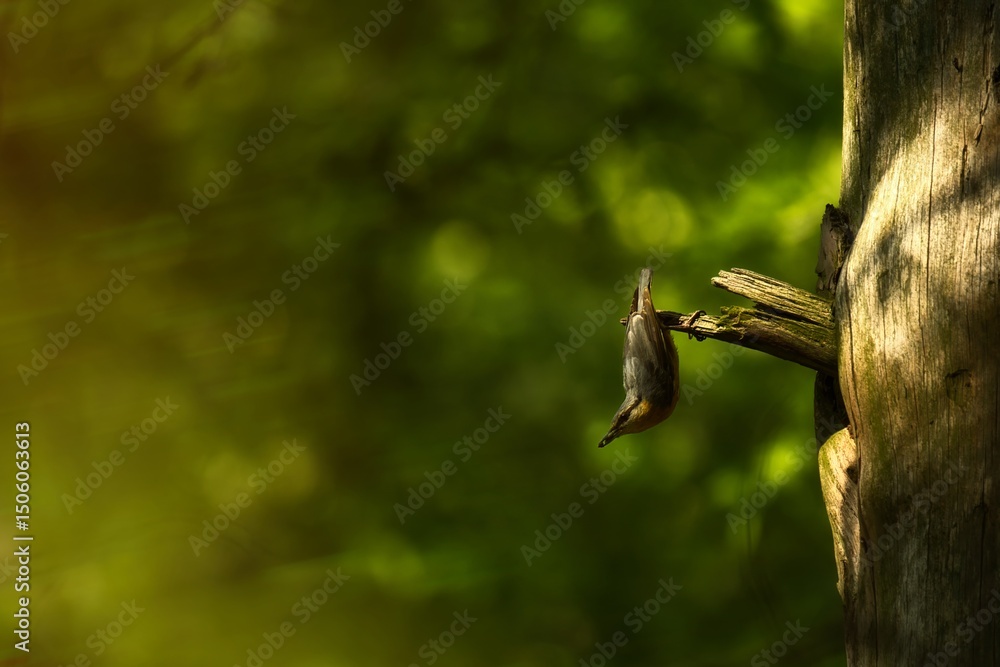 custom made wallpaper toronto digitalgreen fern leaf