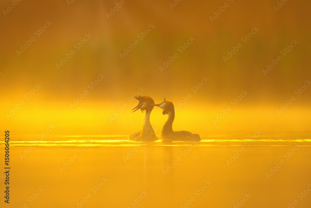 Fototapeta premium young woman on the beach