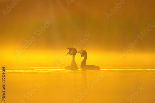 Wallpaper Mural young woman on the beach Torontodigital.ca