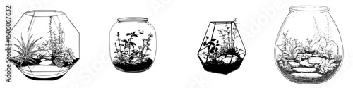 Illustrated icon set featuring various styles of terrariums with plants and stones