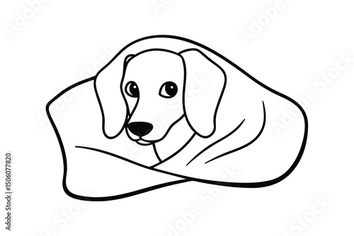 Adorable dachshund puppy snuggled in blanket cozy warm winter