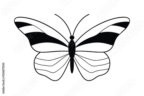 Elegant black and white butterfly illustration design
