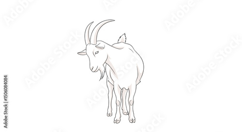 Goat Illustration: A detailed line drawing depicts a goat. The image is a simple, elegant depiction of a common farm animal. 