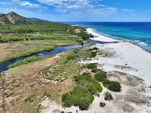 Fototapeta Naklejka Na Ścianę i Meble -  Aerial view of Berchida beach south of Siniscola, in the Baronie territory on the east coast of Sardinia island is known as one of the most beautiful beaches in the Mediterranean for its purest waters