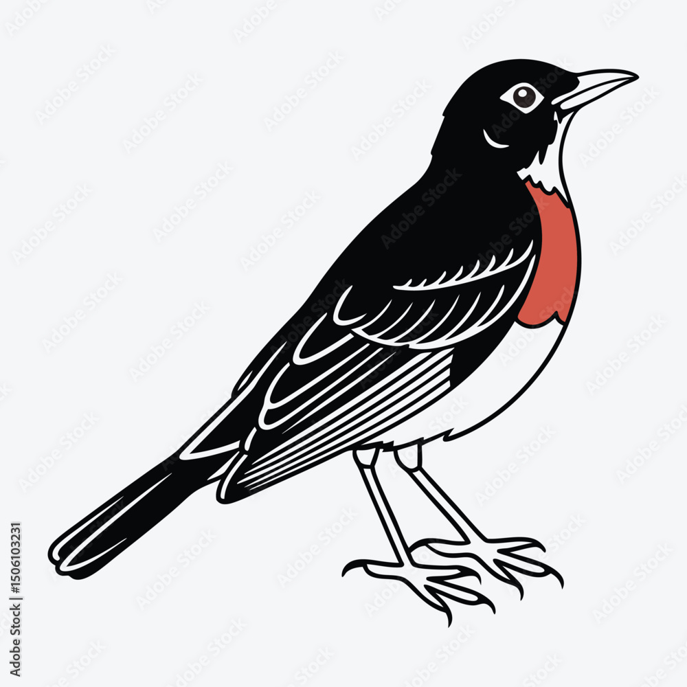 Fototapeta premium American Robin line art White background illustration Generative Ai.