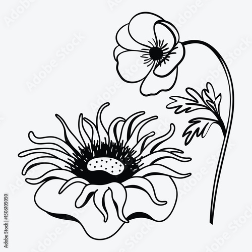 Anemone line art White background illustration Generative Ai