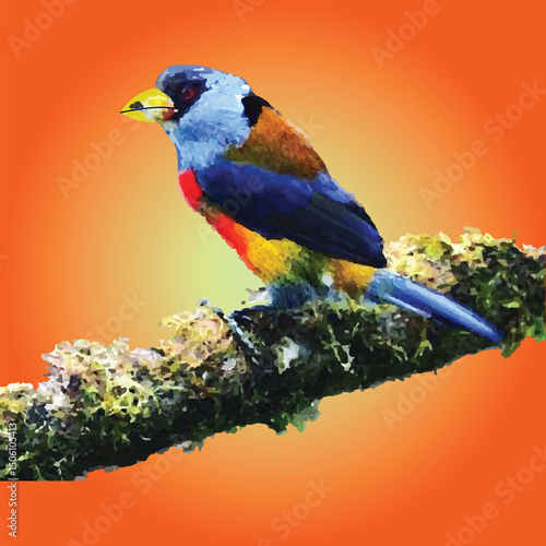 Vibrant and Colorful Bird Perched on a Branch