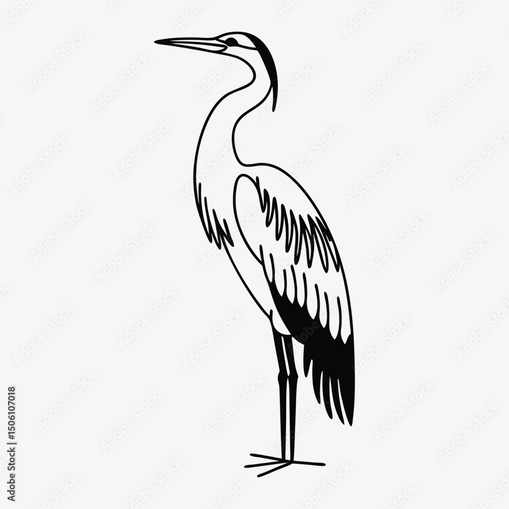 Fototapeta premium Anhinga line art White background illustration Generative Ai