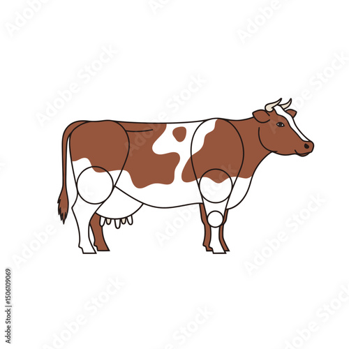 Brown and White Dairy Cow Illustration on White