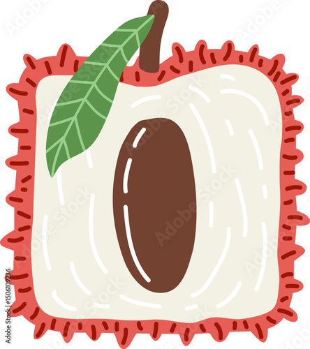 Artistic hand drawn illustration of square lychee with leaf. Vector drawing of half of exotic fruit with seed and pulp isolated on white background. Drawing of summer vegan dessert for your printing.