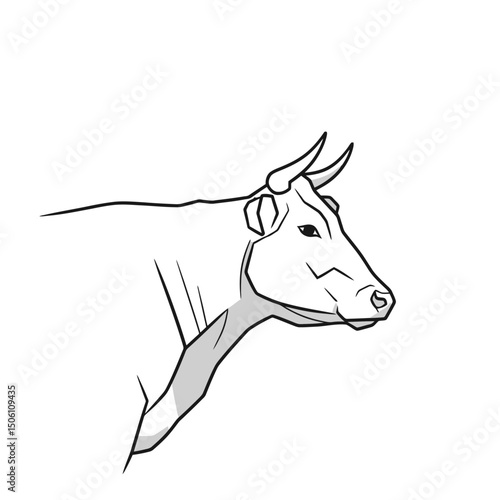 Cow Illustration: Simple Line Art of a Bovine Head