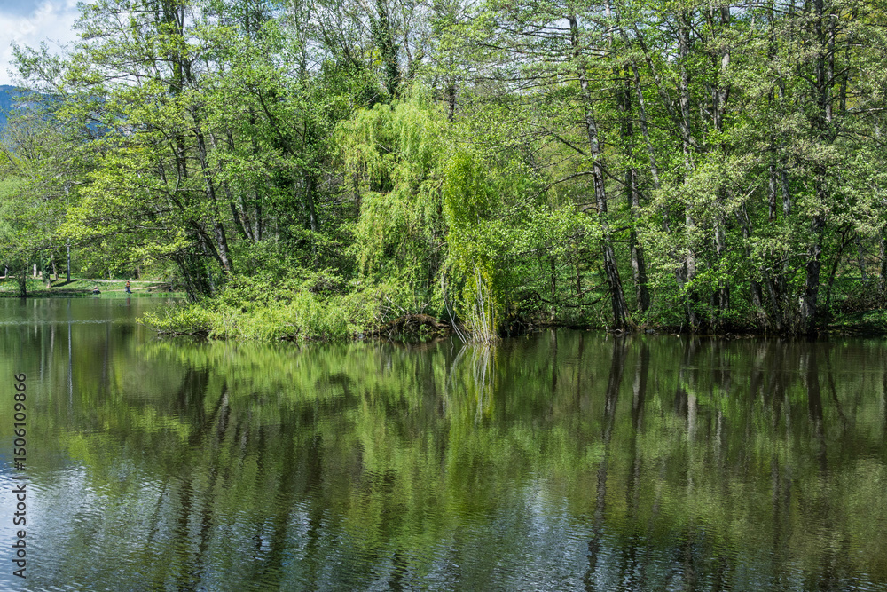 L’étang de Cessy, joli espace de détente en pleine nature L’étang de Cessy, joli espace de détente en pleine nature